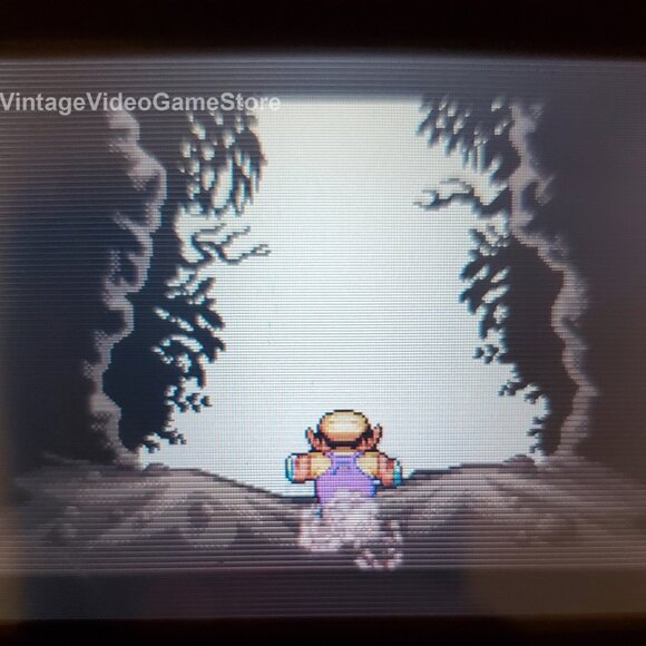 WarioLand 4 GBA Video Game Gameboy Advance - Picture 5 of 9